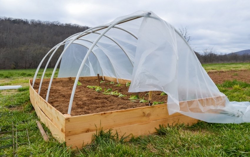 Накриття парника Накриття парника