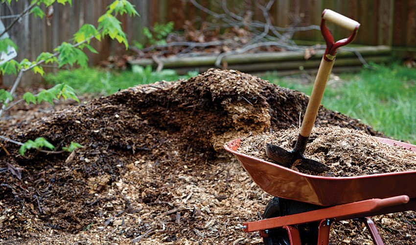 Мульча Мульча