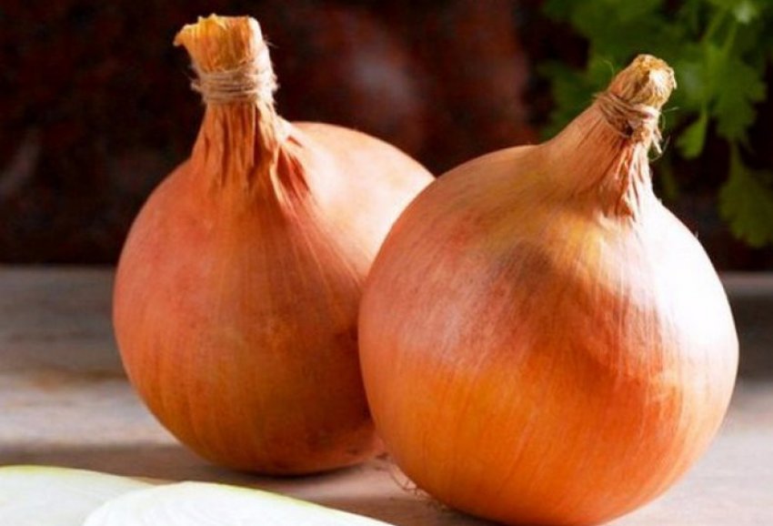 Цибулю Стурон