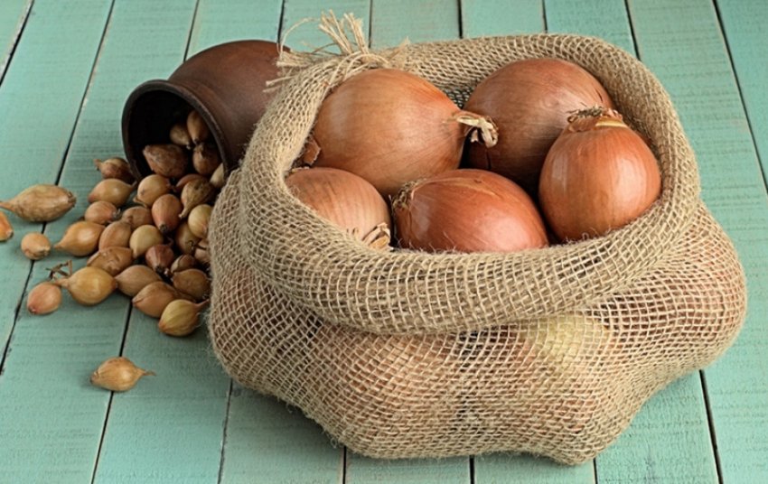 Зберігання цибулі