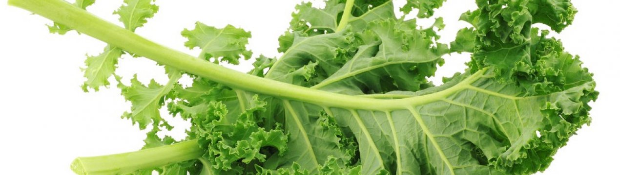 Опис і особливості вирощування кормової капусти