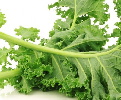 Опис і особливості вирощування кормової капусти