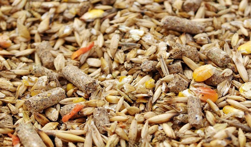 Комбікорм для курей Комбікорм для курей