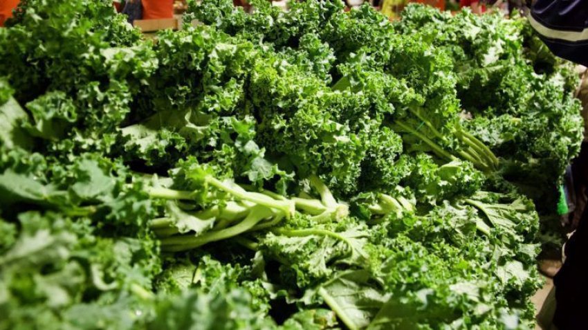 Капуста Капуста