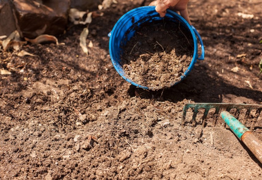 Підготовка ділянки до висадки розсади