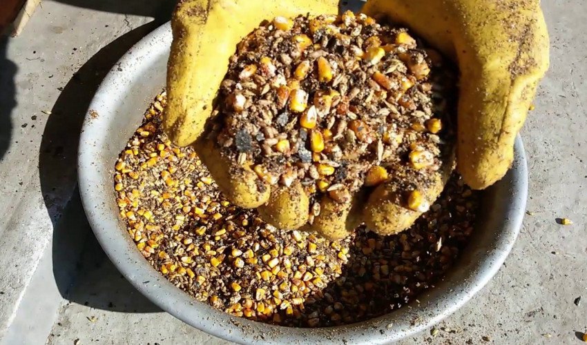 Комбікорм для курей Комбікорм для курей