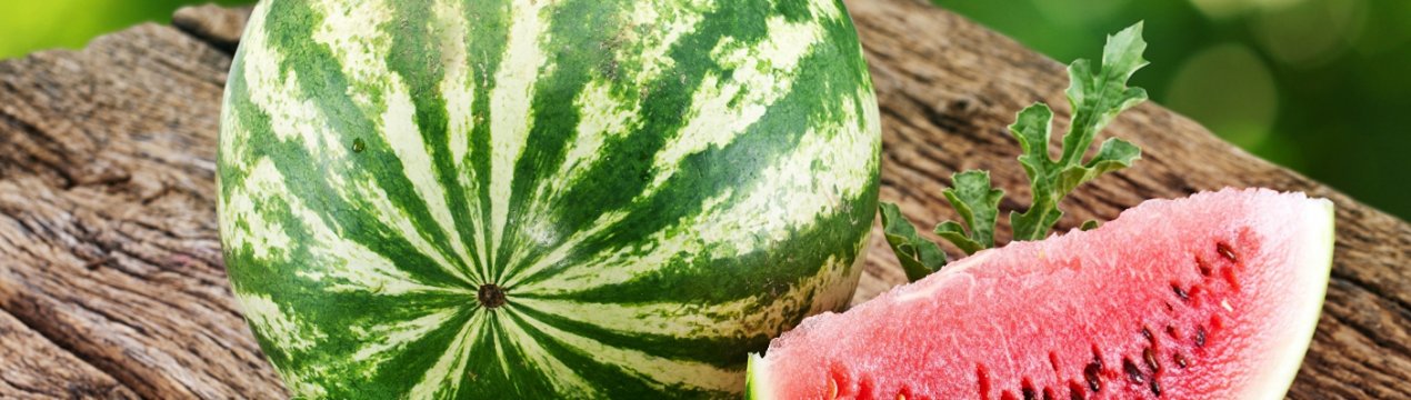 Кавун — що це таке? Опис, характеристика та особливості