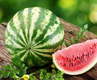 Кавун — що це таке? Опис, характеристика та особливості