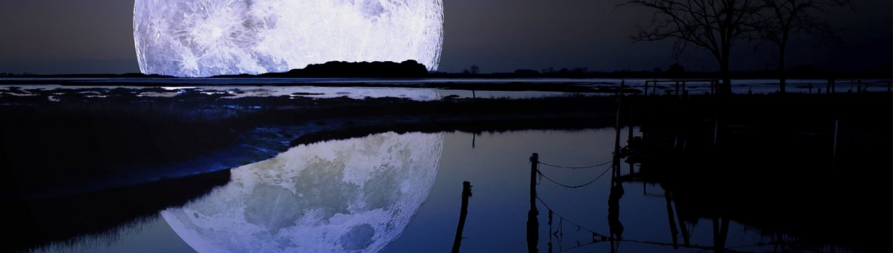 Китайські фермери виростили бавовна на Місяці