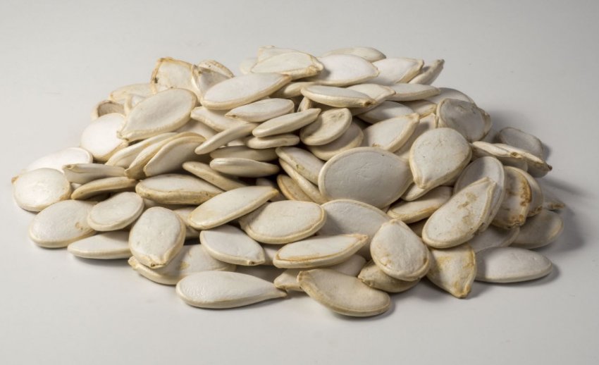 Насіння гарбуза Насіння гарбуза