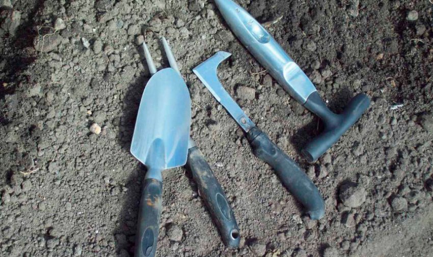 Прополка Прополка