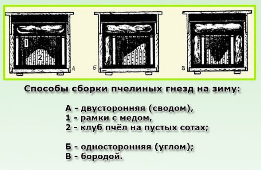 чем обработать пчел осенью. Смотреть фото чем обработать пчел осенью. Смотреть картинку чем обработать пчел осенью. Картинка про чем обработать пчел осенью. Фото чем обработать пчел осенью