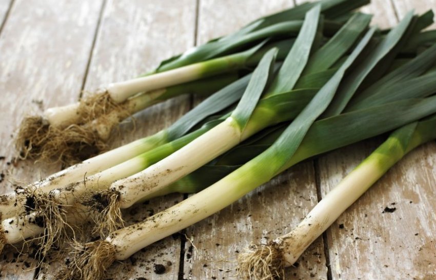 Цибулю-порей