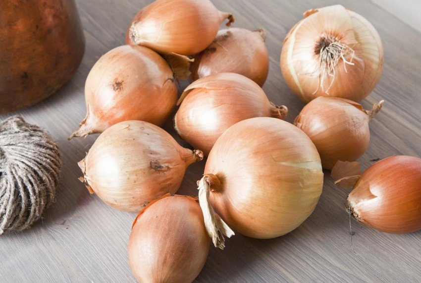 Ріпчасту цибулю