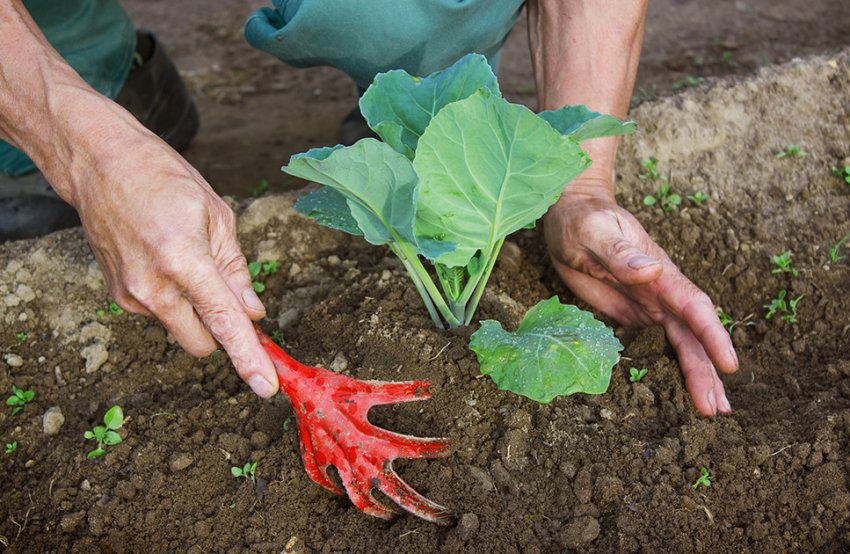 Розпушування грунту Розпушування грунту
