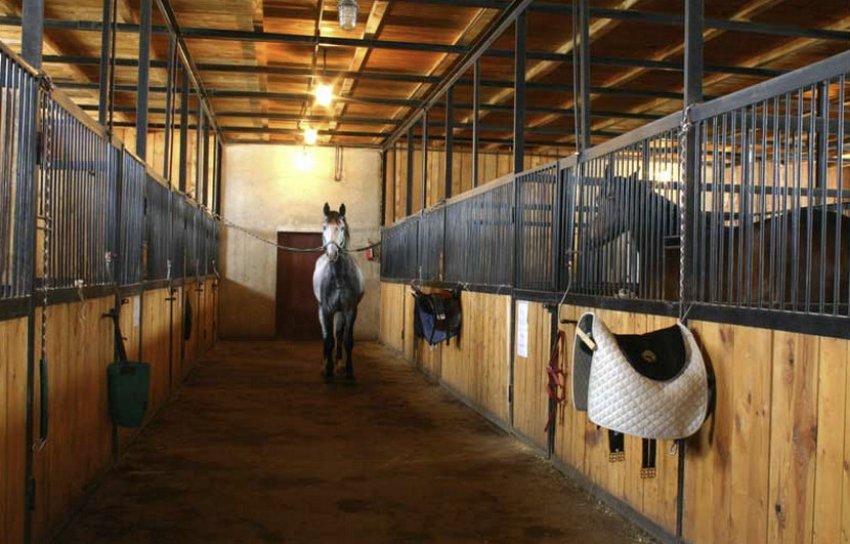 Денник Денник