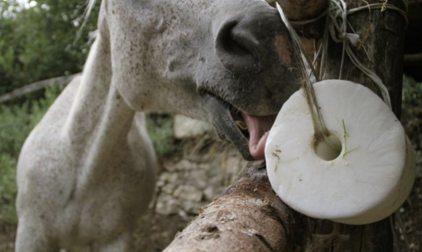 Сіль для коня Сіль для коня
