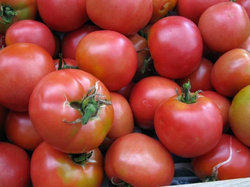 Рум'яний Гоша