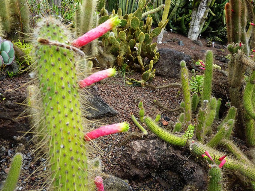 Смарагдовий