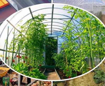 Способи обігріву теплиць з полікарбонату