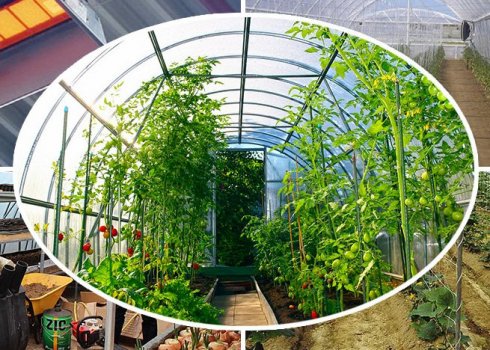 Способы обогрева теплиц из поликарбоната