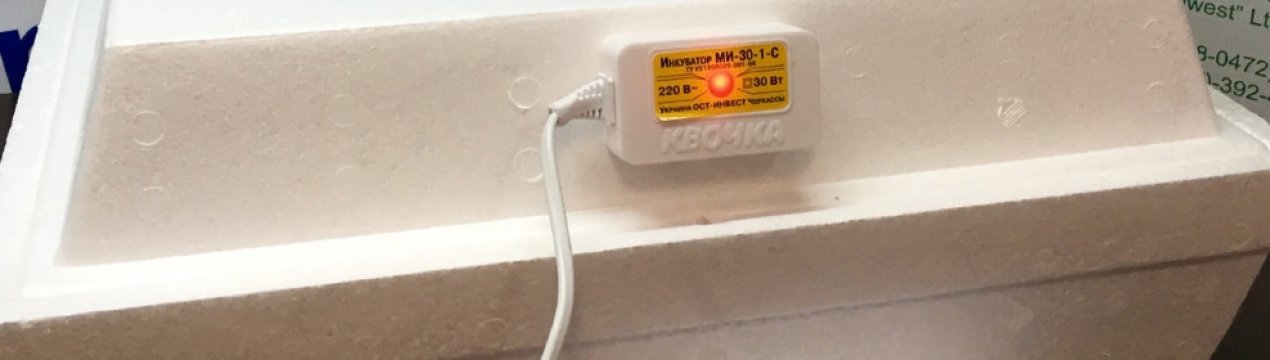 Інкубатор «Квочка»: опис пристрою і підготовка до роботи