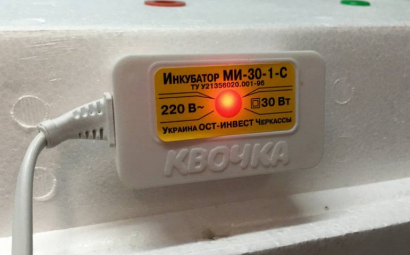 Инкубатор «Квочка» Инкубатор «Квочка»