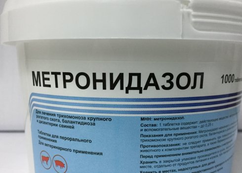 «Метронідазол» для птахів: опис, інструкція по застосуванню