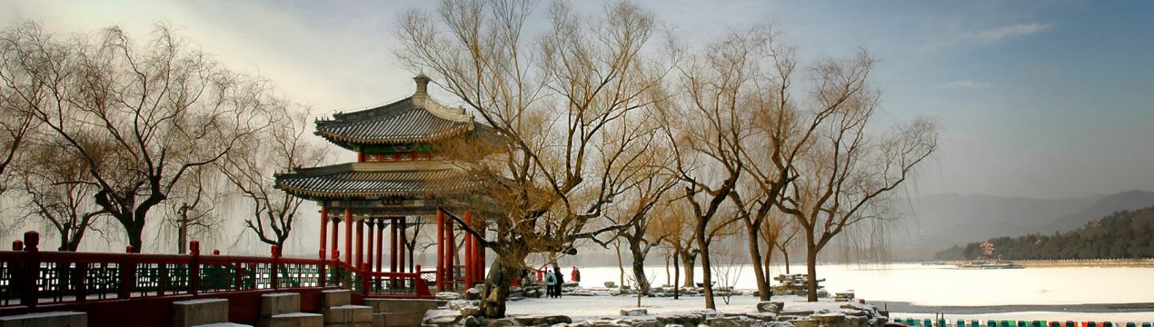 Новий рекорд: китайське пшеничне поле промаркували гігантським QR-кодом