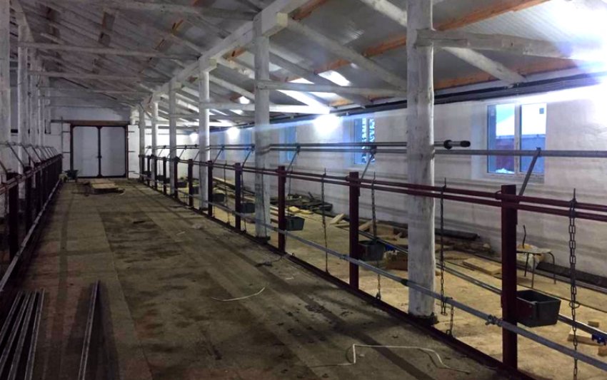 Коровник Коровник