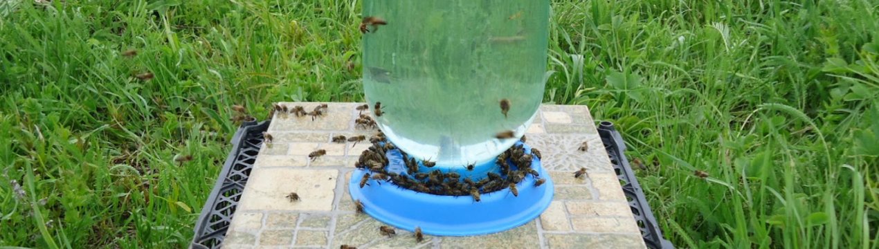 Виготовлення поїлки для бджіл своїми руками