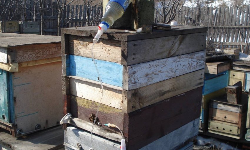 Навісна поїлка для бджіл Навісна поїлка для бджіл