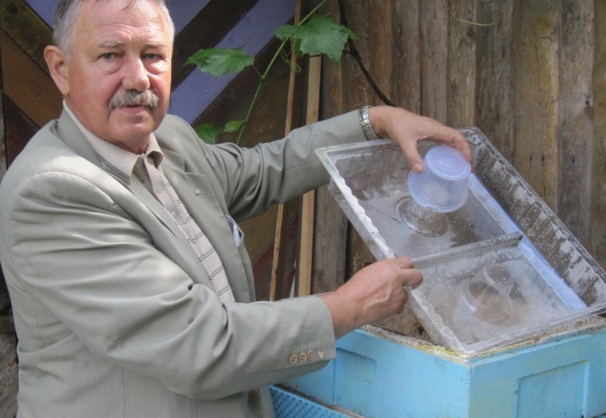 Вхідна годівниця для бджіл Вхідна годівниця для бджіл