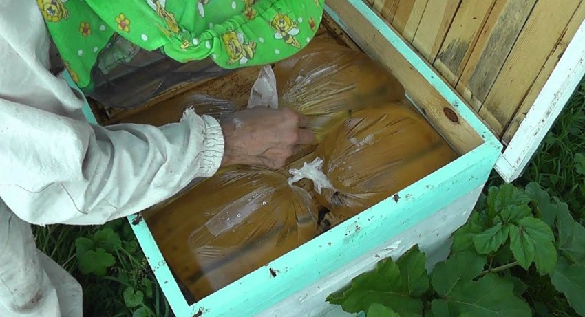 Мешкообразная годівниця Мешкообразная годівниця