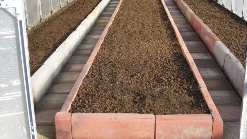 Грядка Грядка