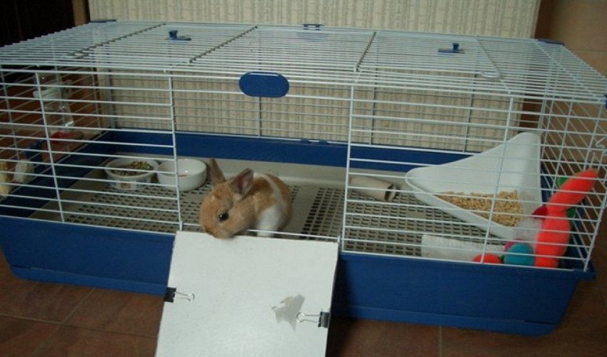 Клетка для декоративного кролика