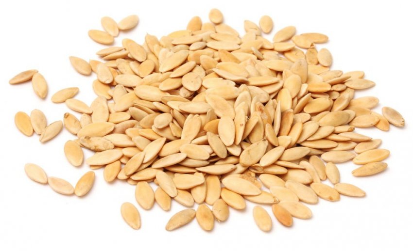 Насіння огірків Насіння огірків