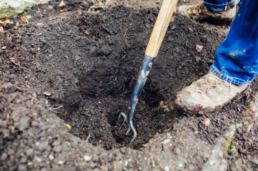 Підготовка грунту