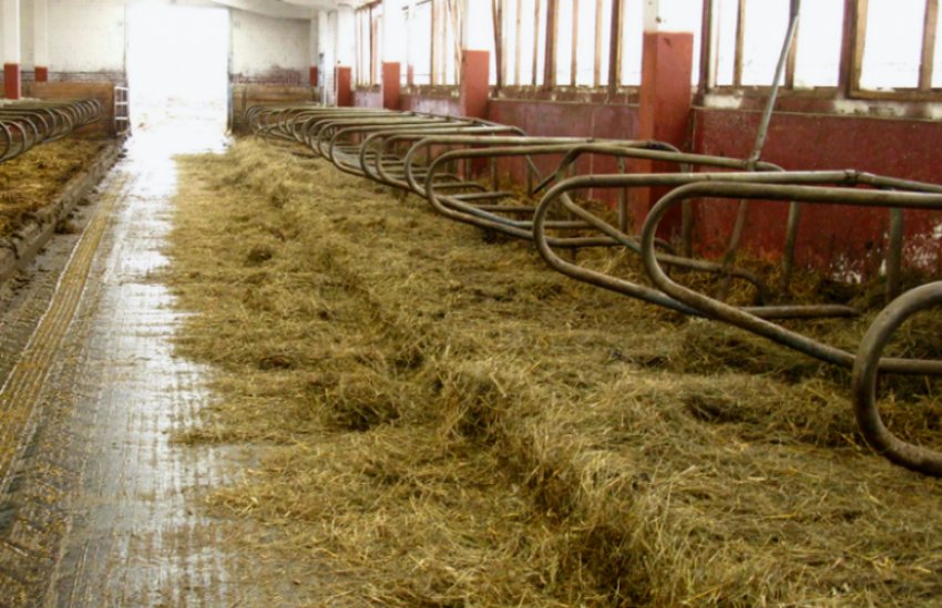 Настил у корівнику Настил у корівнику