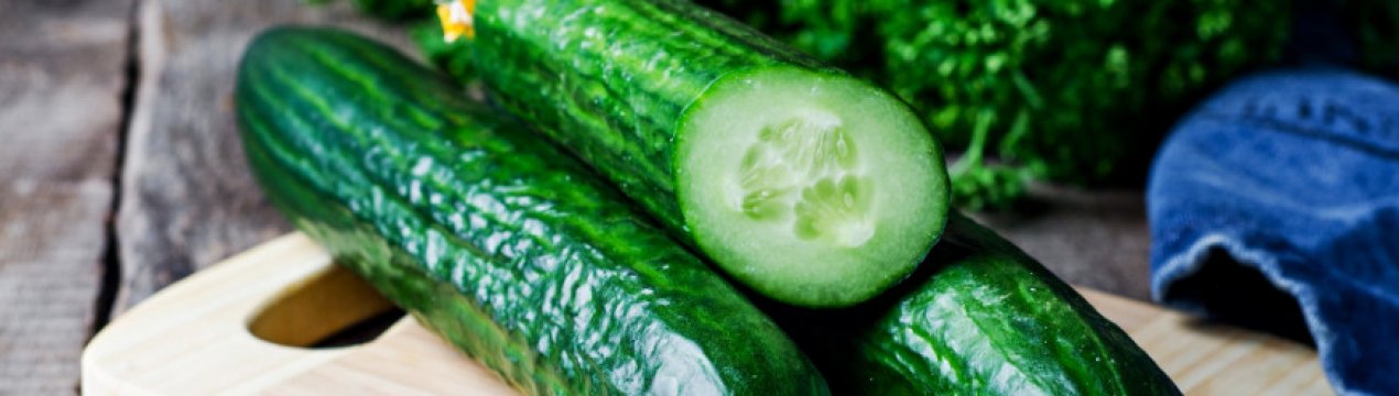 Огірок Зозуля F1: опис та характеристика сорти, вирощування і догляд