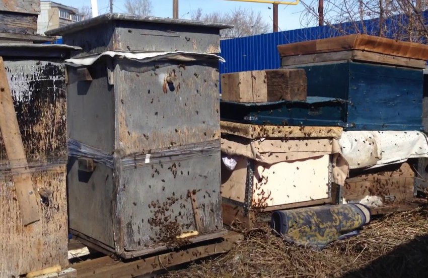 Підготовка вуликів до зимівлі Підготовка вуликів до зимівлі