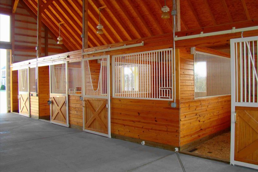 Догляд за стайнею Догляд за стайнею