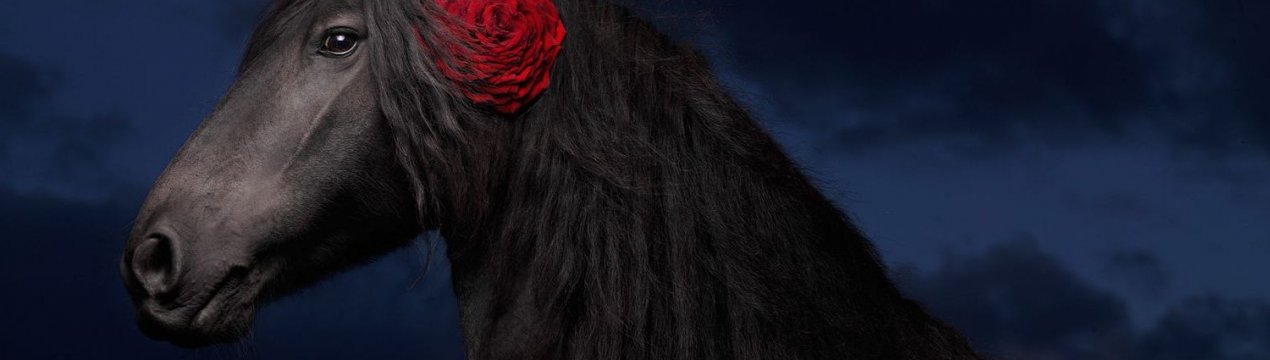 Особливості циганських коней