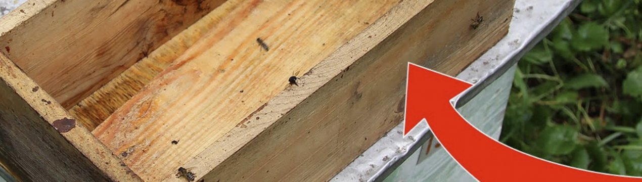 Особливості і способи виготовлення годівниці для бджіл