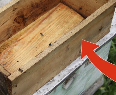 Особливості і способи виготовлення годівниці для бджіл