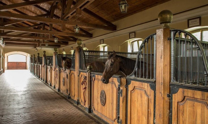 Конюшня