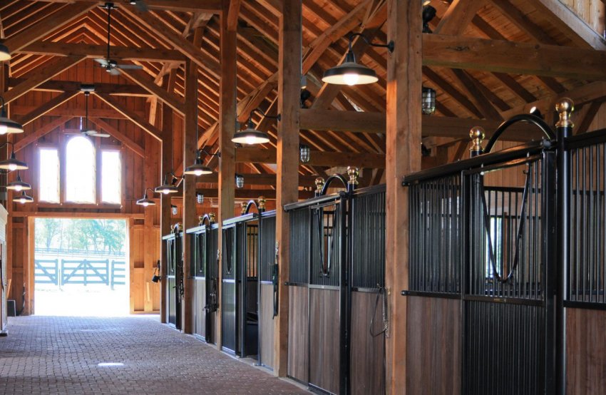 Конюшня