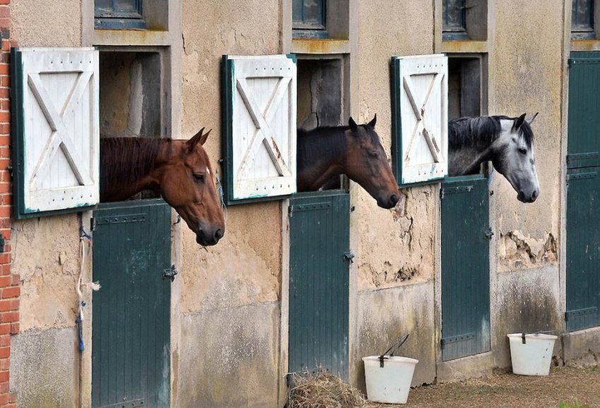 Конюшня