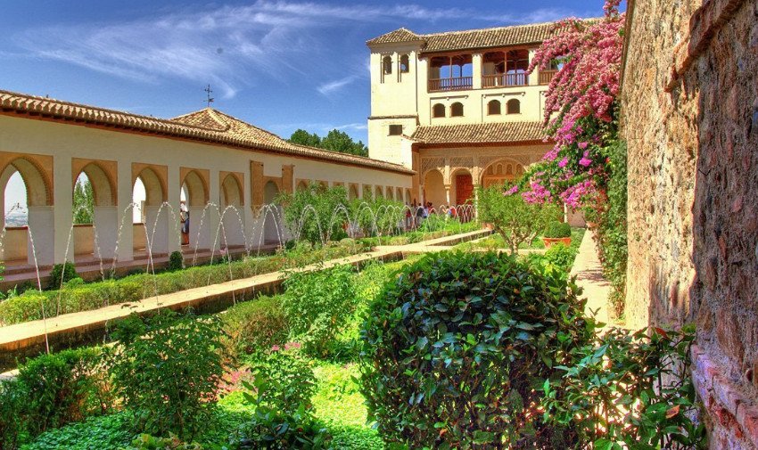 Мирт Альгамбра Мирт Альгамбра