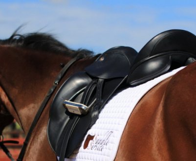 Сідло для коня: види та опис, як зробити своїми руками